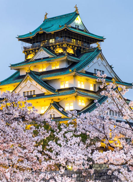 Mont Fuji Japon